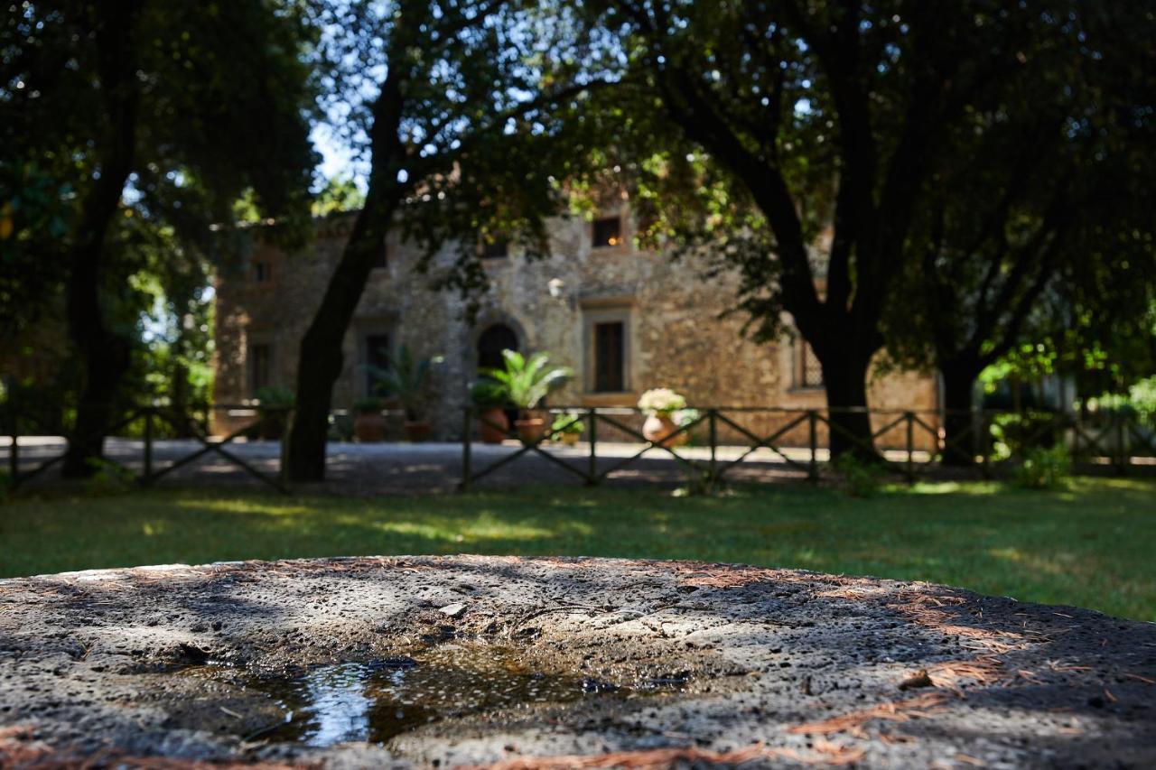 Hotel Ciconia 4*